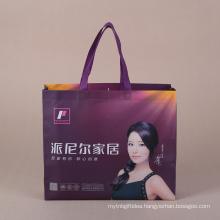 2017 New Design Cheaper PP Non-woven Bag From China Supplier